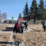 В Янтиковском муниципальном округе стартовала двухмесячная кампания по санитарной очистке и благоустройству территорий - Янтиковский район